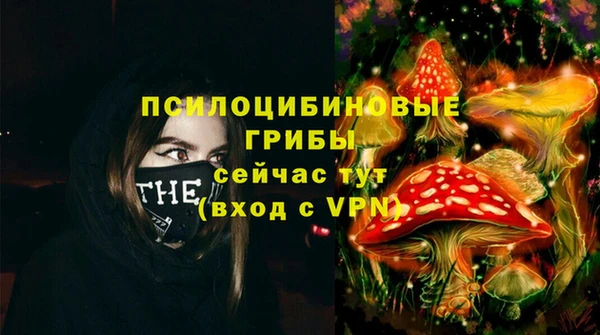 винт Горно-Алтайск